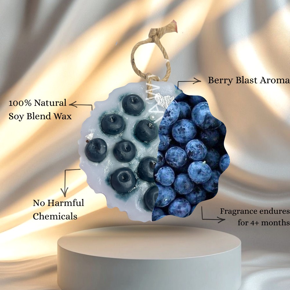 Handcrafted Blueberry Agate Fragrance Soy Wax Sachet Set of 2
